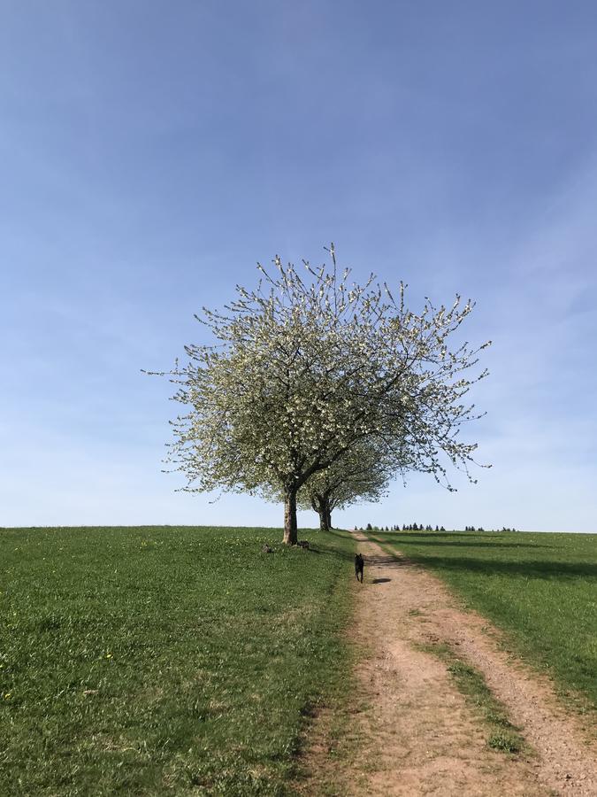 Schwarzwaldmaedel St. Peter